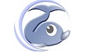 Rapid Typing