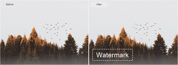 EasePaint Watermark Expert截图