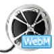 Bigasoft WebM Converter