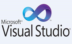 vs2010