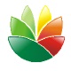 Logo设计软件(EximiousSoft Logo Designer)-Logo设计软件(EximiousSoft Logo Designer)截图