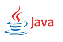 Java SE Runtime Environment