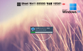 微软Windows 11 Insider Preview 22000.184