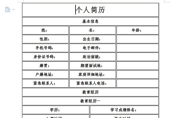 公司简历模板范文截图