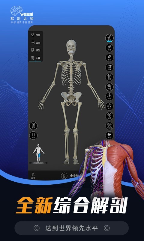 解剖大师电脑版
