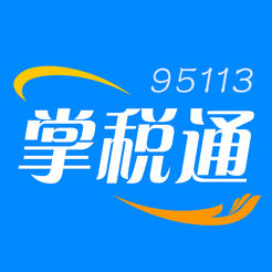95113掌税通电脑版