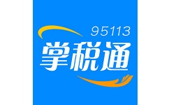 95113掌税通电脑版