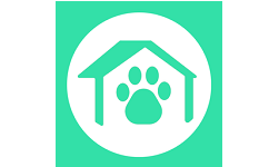 奇飞宠掌馆电脑版