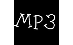 AVI MPEG WMV RM to MP3 Converter