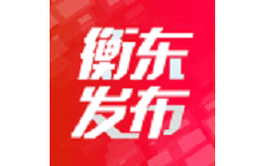 衡东发布电脑版
