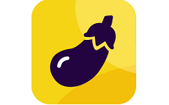 茄子资讯电脑版