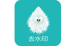 水印剪辑大师电脑版