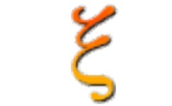 Sqirlz Water Reflections