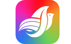 空域城邦电脑版