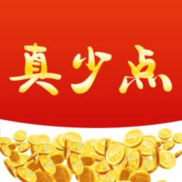 真少点电脑版