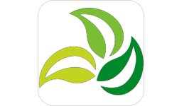 康乐居健康助手电脑版