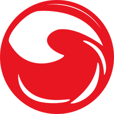 今日湖北电脑版