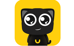 黑猫优选电脑版