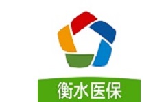 衡水医保公共服务平台电脑版