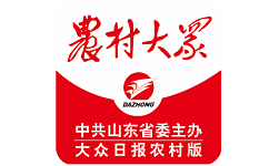 农村大众电脑版