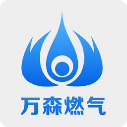 吉林市万森燃气电脑版