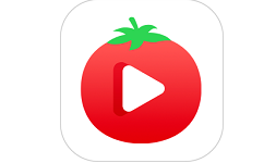番茄视频电脑版