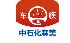 车e族极速版电脑版