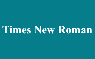 Times New Roman