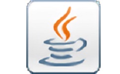 java11