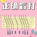 标准盲打指法练习
