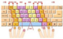 标准盲打指法练习