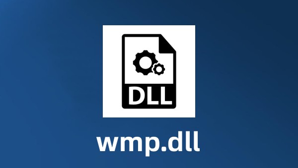 wmp.dll截图