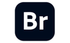 Adobe Bridge 2025