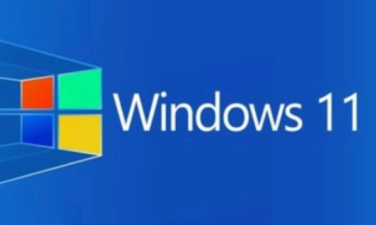 系统天地 Ghost Win11 64位绿色稳定版
