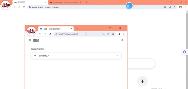 红莲花浏览器截图