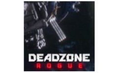死域 Rogue