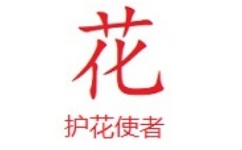 护花使者电脑版