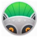 photolemur3
