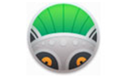 photolemur3