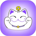 爆乐猫