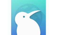kiwi浏览器