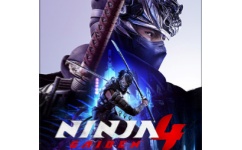 忍者龙剑传4十八项修改器