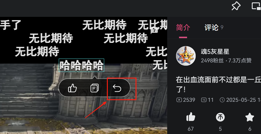哔哩哔哩(bilibili)截图