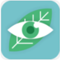 护眼助手