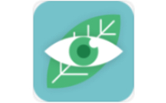 护眼助手
