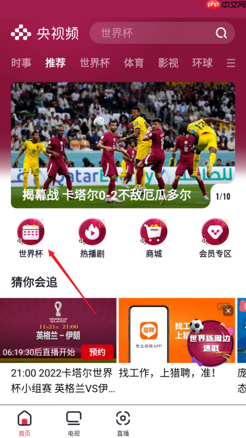 央视频电脑版截图