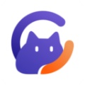 闪控猫