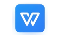 wps教育考试专用版