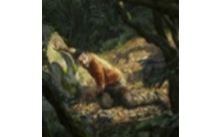 绿色地狱修改器