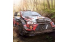 WRC9(世界汽车拉力锦标赛9)